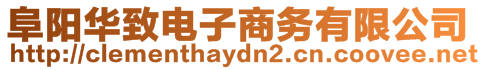 阜陽華致電子商務有限公司