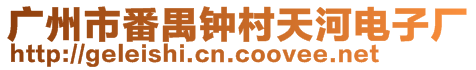 廣州市番禺鐘村天河電子廠