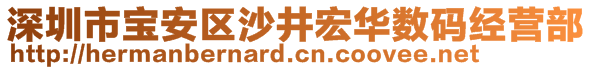 深圳市宝安区沙井宏华数码经营部