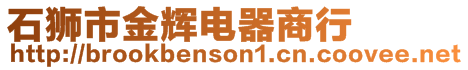 石獅市金輝電器商行