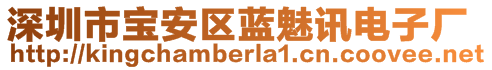 深圳市宝安区蓝魅讯电子厂