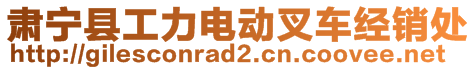 肅寧縣工力電動叉車經(jīng)銷處