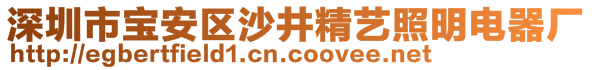 深圳市寶安區(qū)沙井精藝照明電器廠