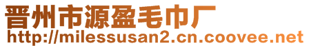 晋州市源盈毛巾厂