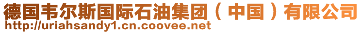 德國(guó)韋爾斯國(guó)際石油集團(tuán)（中國(guó)）有限公司