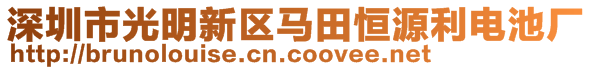 深圳市光明新區(qū)馬田恒源利電池廠