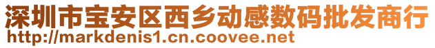 深圳市寶安區西鄉動感數碼批發商行
