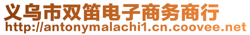 義烏市雙笛電子商務(wù)商行