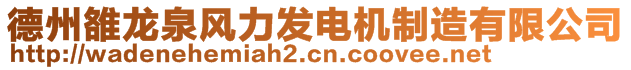 德州雒龍泉風力發電機制造有限公司