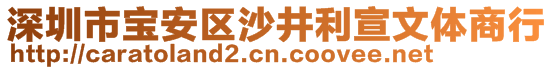 深圳市寶安區(qū)沙井利宣文體商行