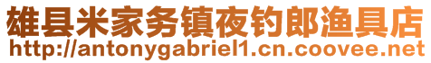 雄縣米家務(wù)鎮(zhèn)夜釣郎漁具店