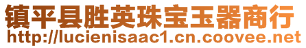 镇平县胜英珠宝玉器商行