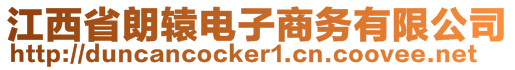 江西省朗轅電子商務(wù)有限公司