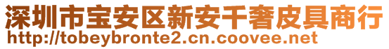 深圳市寶安區(qū)新安千奢皮具商行