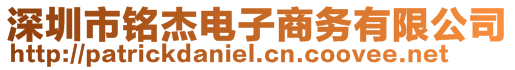 深圳市铭杰电子商务有限公司