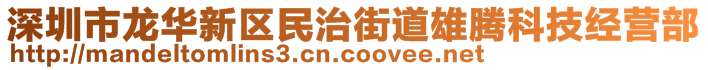 深圳市龍華新區(qū)民治街道雄騰科技經(jīng)營部