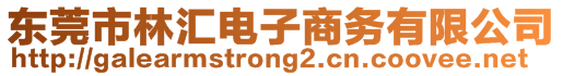 東莞市林匯電子商務(wù)有限公司