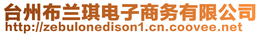 臺(tái)州布蘭琪電子商務(wù)有限公司