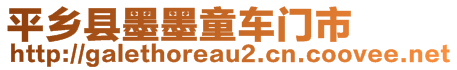 平鄉(xiāng)縣墨墨童車門市