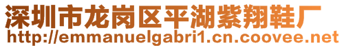 深圳市龍崗區(qū)平湖紫翔鞋廠