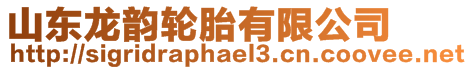 山東龍韻輪胎有限公司