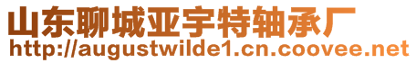 山東聊城亞宇特軸承廠