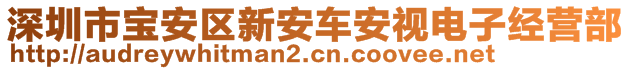 深圳市宝安区新安车安视电子经营部