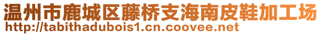 溫州市鹿城區(qū)藤橋支海南皮鞋加工場