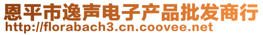 恩平市逸聲電子產品批發(fā)商行