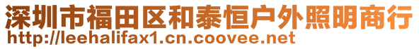 深圳市福田區(qū)和泰恒戶外照明商行