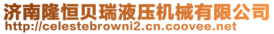 济南隆恒贝瑞液压机械有限公司