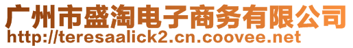 廣州市盛淘電子商務(wù)有限公司