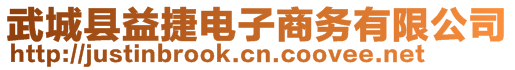 武城縣益捷電子商務(wù)有限公司