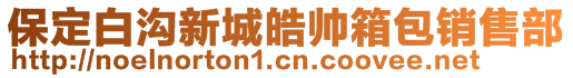 保定白沟新城皓帅箱包销售部