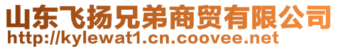 山東飛揚(yáng)兄弟商貿(mào)有限公司