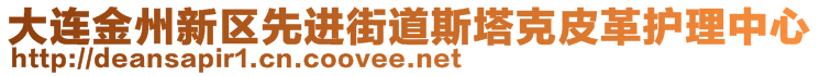 大連金州新區(qū)先進街道斯塔克皮革護理中心