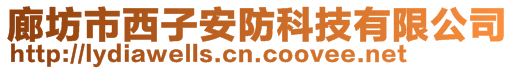 廊坊市西子安防科技有限公司