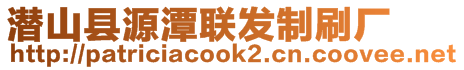 潛山縣源潭聯(lián)發(fā)制刷廠