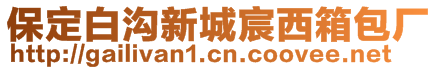 保定白溝新城宸西箱包廠