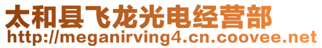 太和縣飛龍光電經(jīng)營(yíng)部