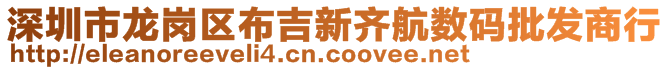 深圳市龍崗區布吉新齊航數碼批發商行