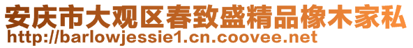 安庆市大观区春致盛精品橡木家私