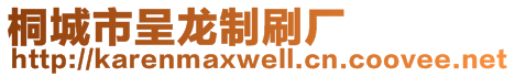 桐城市呈龍制刷廠