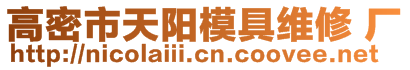 高密市天陽模具維修 廠