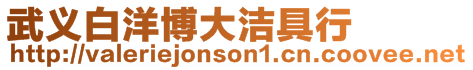 武義白洋博大潔具行