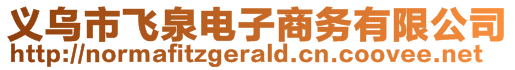 義烏市飛泉電子商務(wù)有限公司