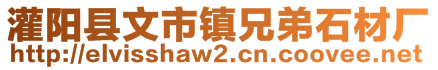 灌陽縣文市鎮(zhèn)兄弟石材廠