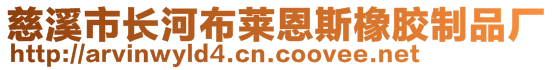 慈溪市长河布莱恩斯橡胶制品厂