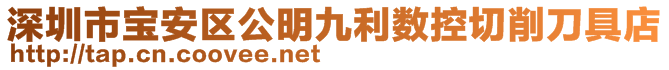 深圳市寶安區(qū)公明九利數(shù)控切削刀具店