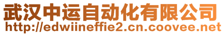 武漢中運自動化有限公司